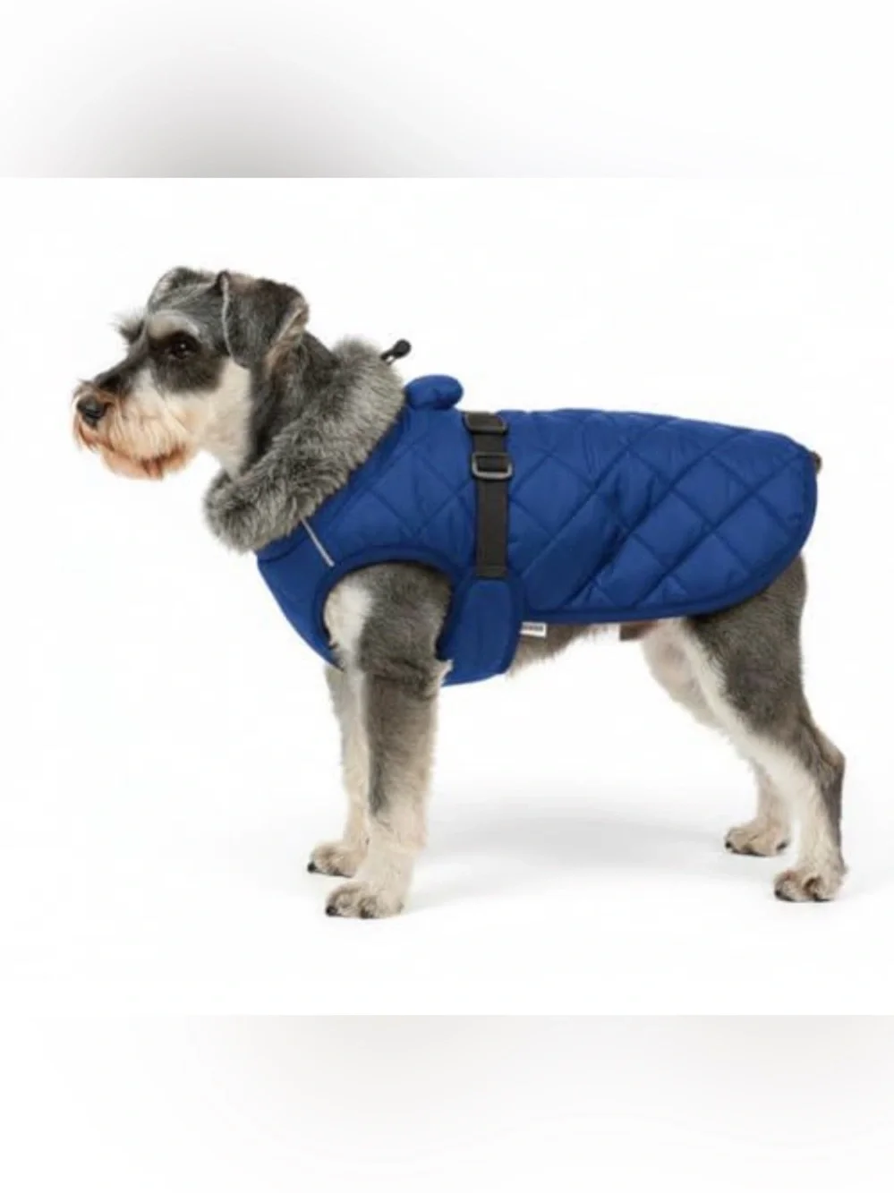 Dog Quilted Winter Coat with Faux Fur Collar - Blue